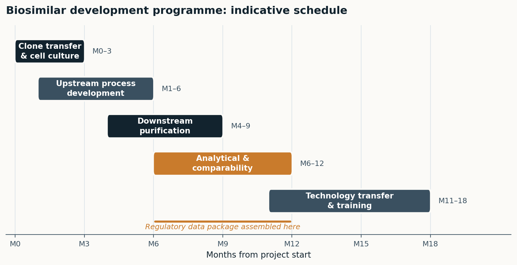 Figure 5 — Indicative biosimilar development schedule.